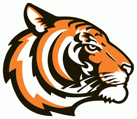 Princeton Tigers 2003-Pres Alternate Logo t shirts DIY iron ons v2